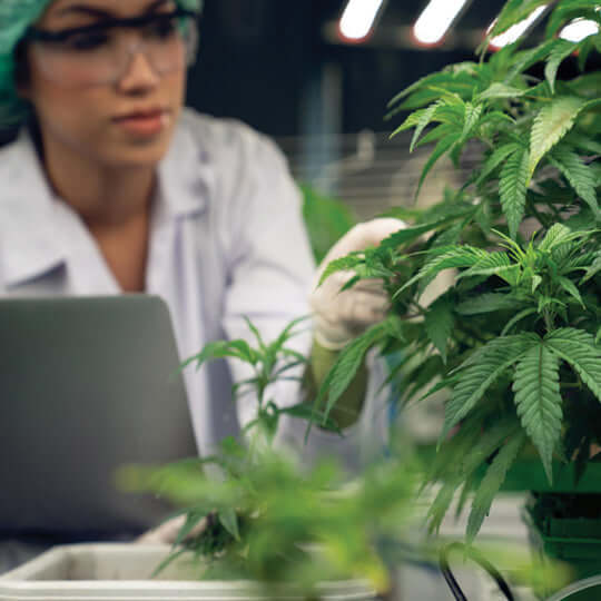 2025 Hemp Compliance Checklist | Go North Hemp