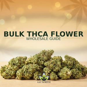 Bulk THCA Flower Wholesale Guide for Commercial Buyers