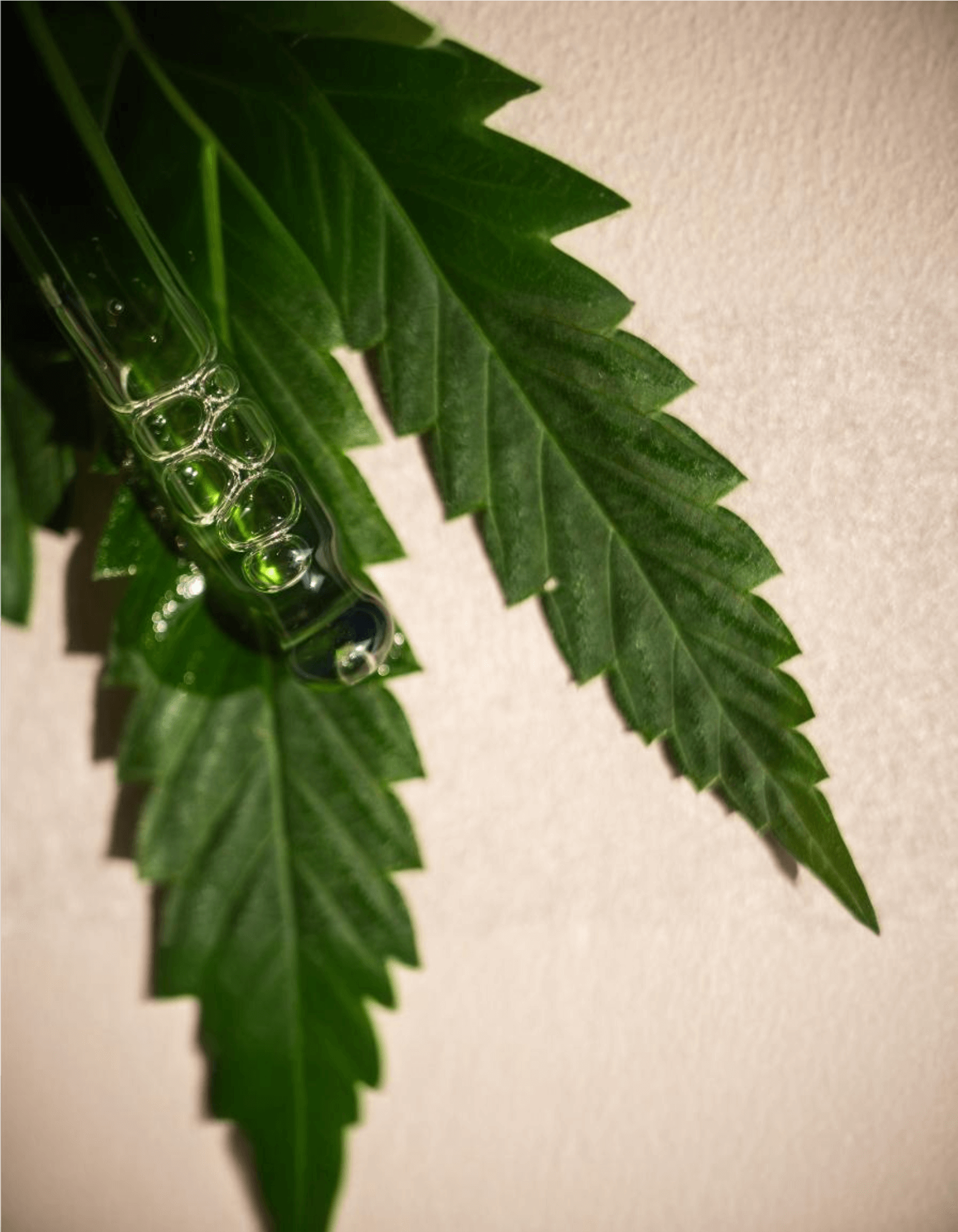 EPN Cannabinoids Hemp Product Formulation | 2025 Innovation Guide