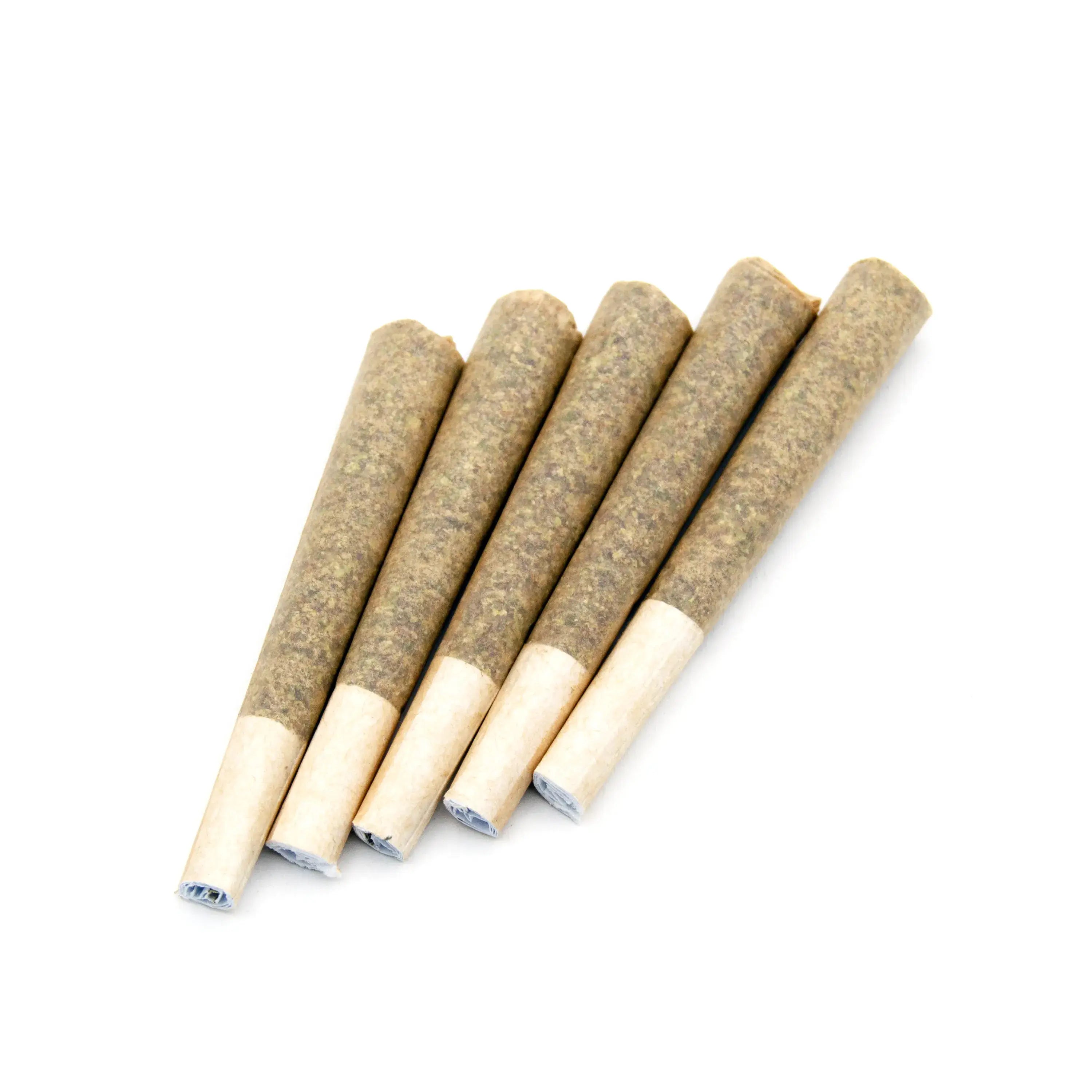 THCa PreRolls - Bulk - High-Potency - five expertly rolled prerolls with high-potency THCa flower.