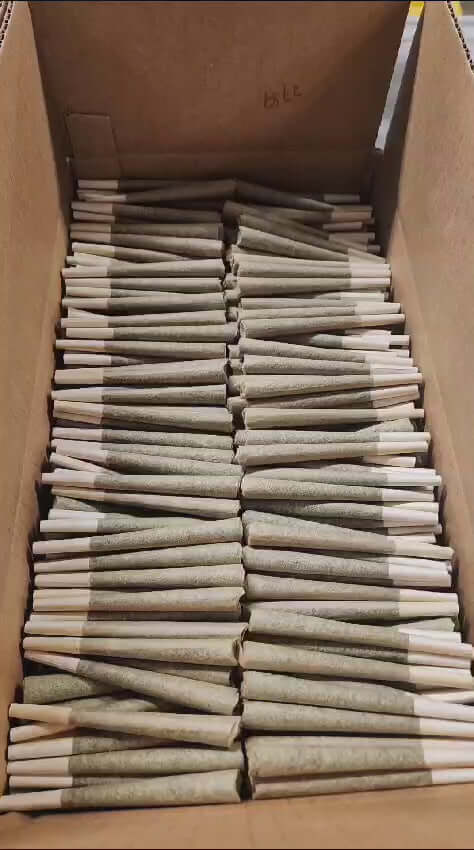 THCa PreRolls - Bulk - High-Potency displayed in a box, showcasing top-quality hemp prerolls.